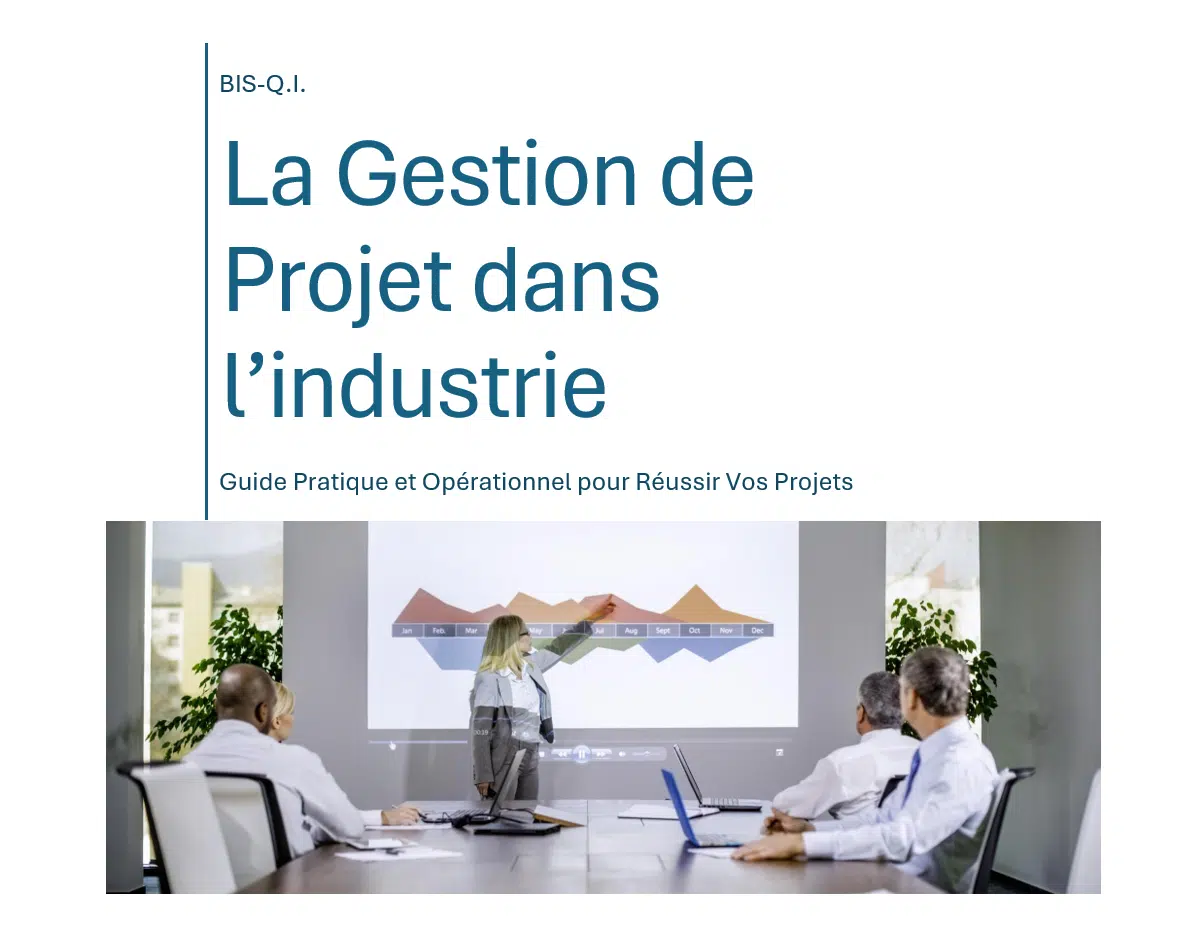 Formation Excel chez BIS-QI